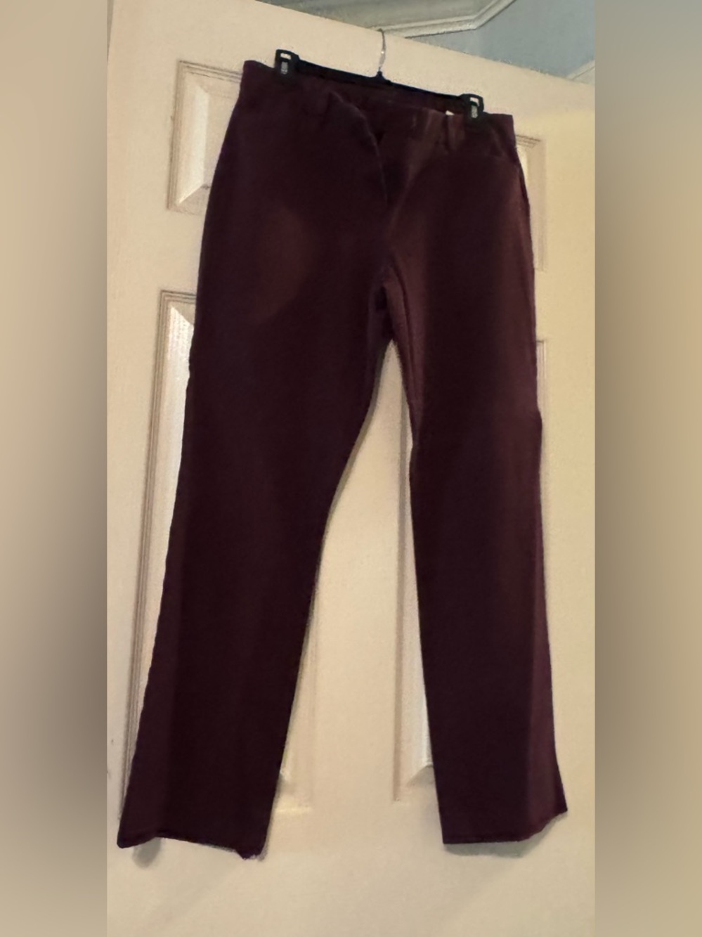 41 Hawthorn Women's Trousers in Deep Plum